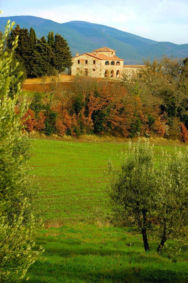 Casali Di Casole - Timbers Tuscany Casole d'Elsa Exterior photo